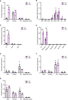High-fat diets induce inflammatory IMD/NFκB signaling via gut microbiota remodeling in Drosophila